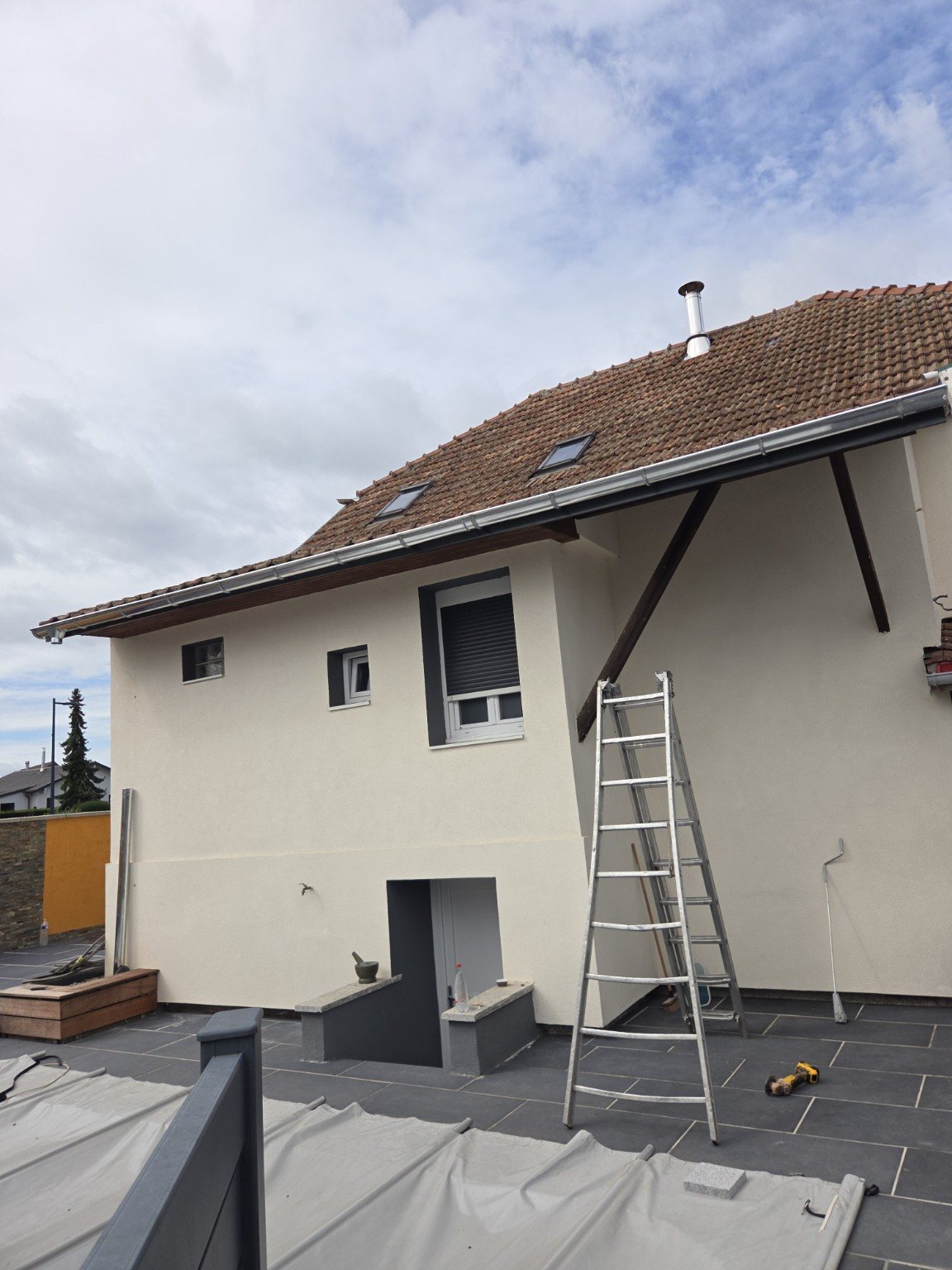 Tuiles avec végétation avant nettoyage